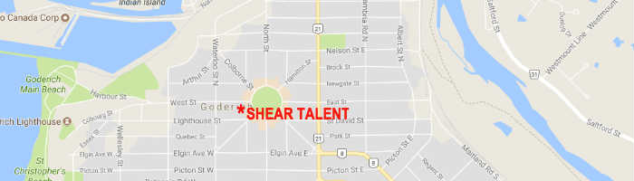 Debbie D, Shear Talent, West St. Goderich